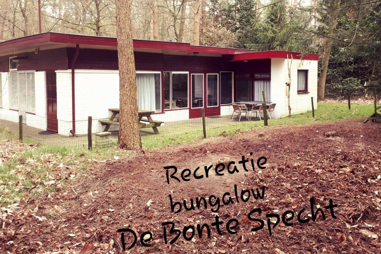 فيلا Bonte Specht أوتيرلو المظهر الخارجي الصورة